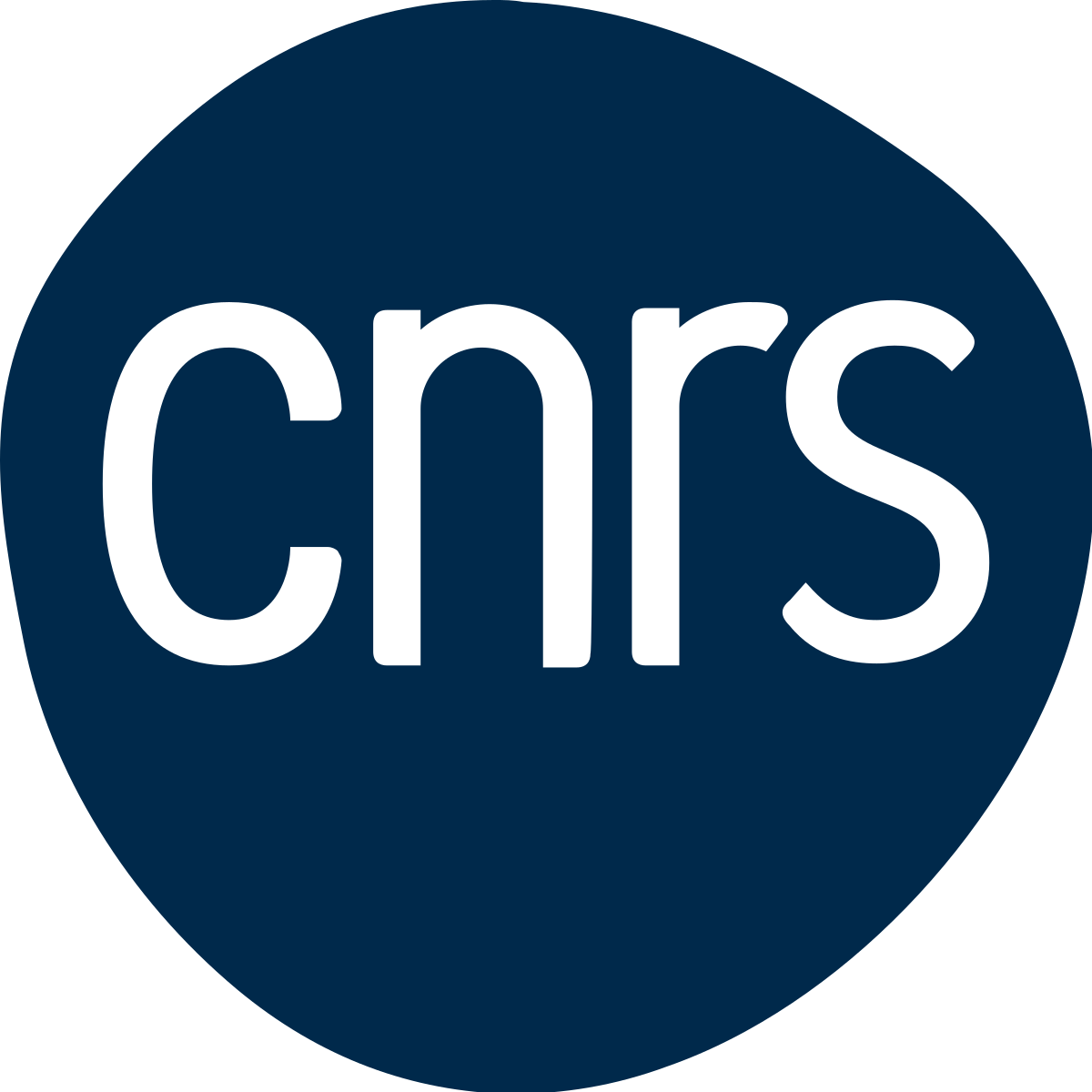 ncrs logo